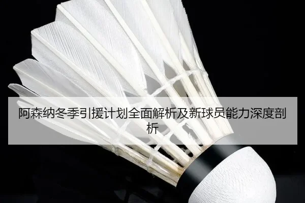 阿森纳冬季引援计划全面解析及新球员能力深度剖析 - JIUYOU SPORTS